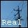 [R E A L - U N I O N] ���������̂ł�������\���Ă݂��B